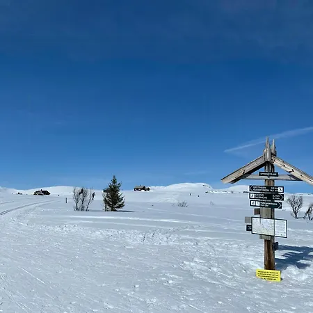 Cozy With Fantastic Mountain Views In Oppheimasen
