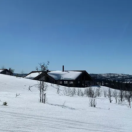 Cozy With Fantastic Mountain Views In Oppheimasen * Torpo