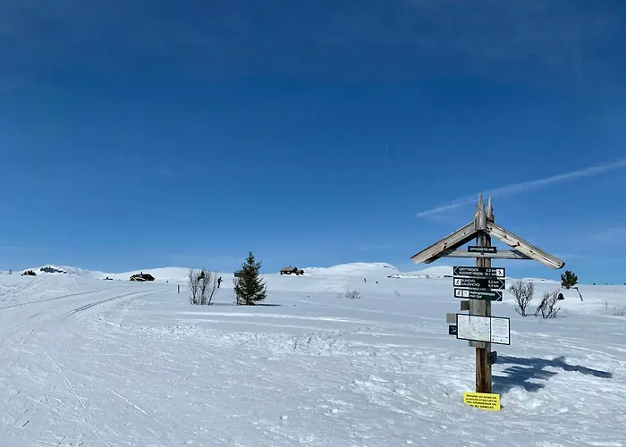 Cozy With Fantastic Mountain Views In Oppheimasen