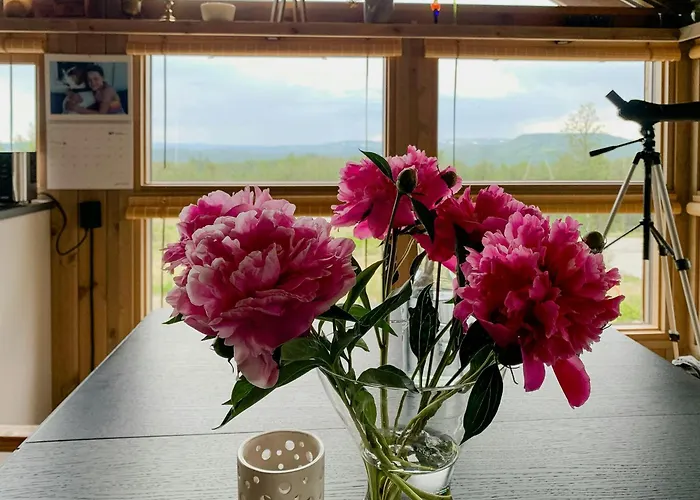 Cozy With Fantastic Mountain Views In Oppheimasen *