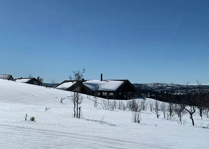 Cozy With Fantastic Mountain Views In Oppheimasen * Torpo