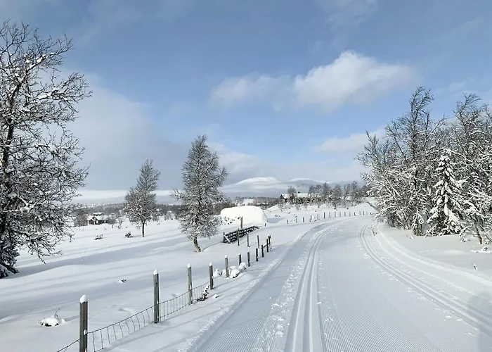 Cozy With Fantastic Mountain Views In Oppheimasen * Torpo