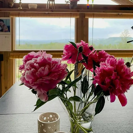 Cozy With Fantastic Mountain Views In Oppheimasen *